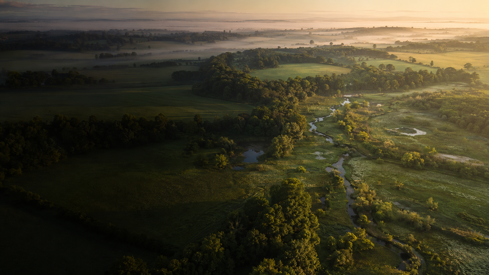 Restored estate habitat landscape for Biodiversity Net Gain